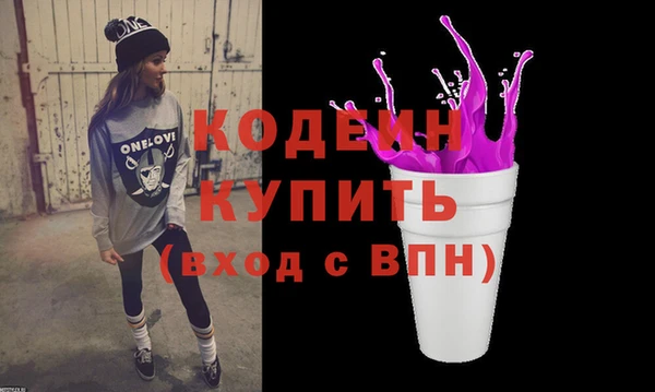 индика Михайловск
