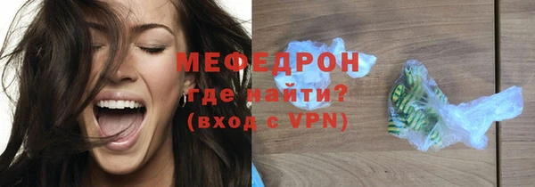 индика Михайловск