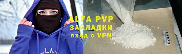 индика Михайловск