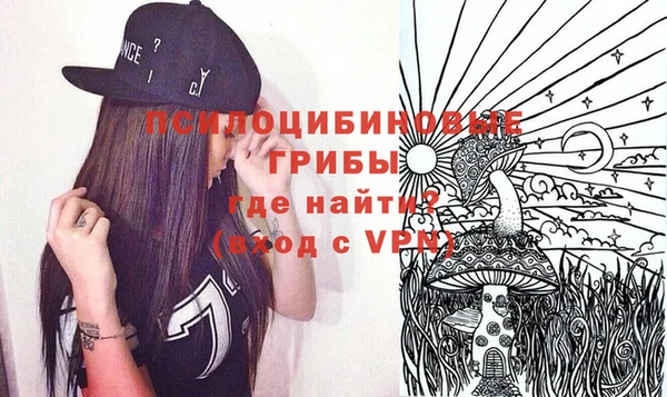 твердый Дмитров