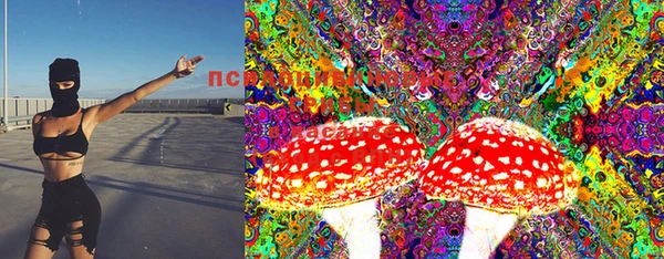 индика Михайловск