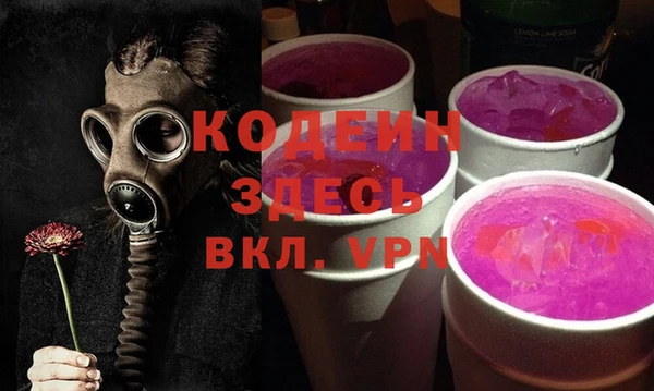 индика Михайловск