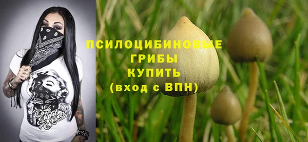 не бодяженный Михайлов