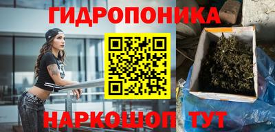 прущие грибы Заводоуковск