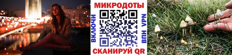 Псилоцибиновые грибы GOLDEN TEACHER  блэк спрут как войти  Лангепас  закладка 