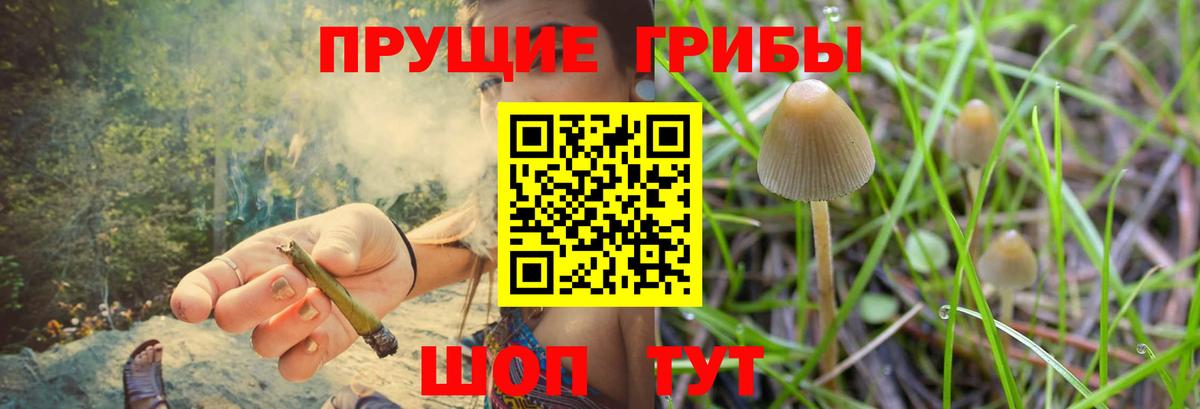 Галлюциногенные грибы MAGIC MUSHROOMS Лангепас